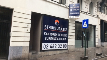 Structura BIZ